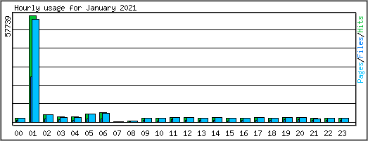 Hourly usage