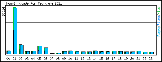 Hourly usage