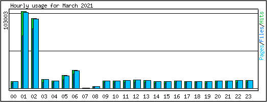 Hourly usage