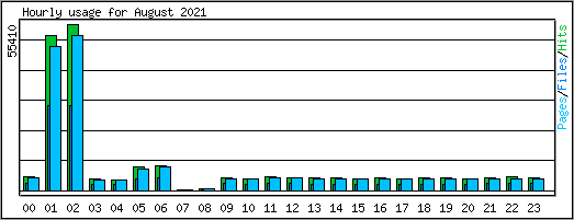 Hourly usage