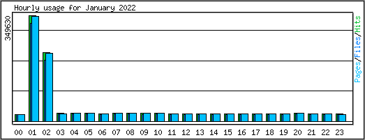 Hourly usage