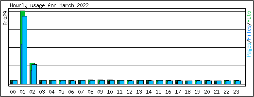 Hourly usage