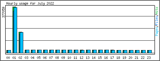 Hourly usage