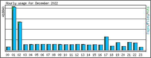 Hourly usage