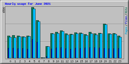 Hourly usage for June 2021