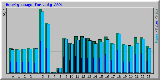 Hourly usage for July 2021