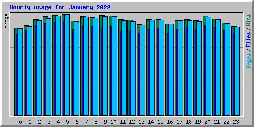 Hourly usage for January 2022