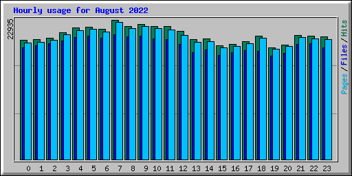 Hourly usage for August 2022