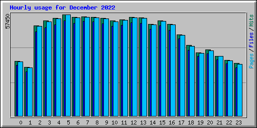 Hourly usage for December 2022