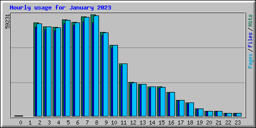 Hourly usage for January 2023